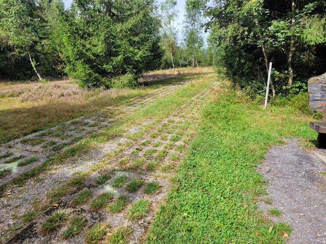 ehemaliger Grenzstreifen Rennseig